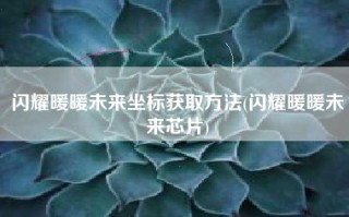 闪耀暖暖未来坐标获取方法(闪耀暖暖未来芯片)