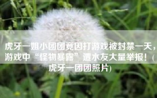 虎牙一姐小团团竟因打游戏被封禁一天，游戏中“怪物暴露”遭水友大量举报！(虎牙一团团照片)
