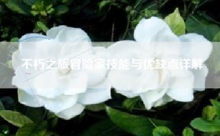 不朽之旅冒险家技能与优缺点详解