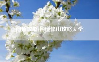 问道攻略(问道修山攻略大全)
