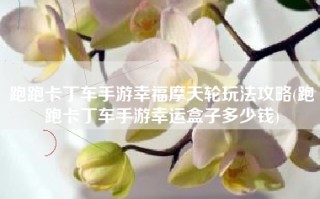 跑跑卡丁车手游幸福摩天轮玩法攻略(跑跑卡丁车手游幸运盒子多少钱)