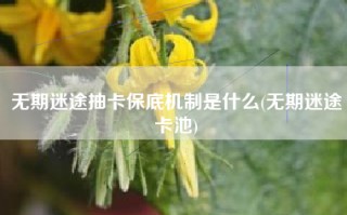 无期迷途抽卡保底机制是什么(无期迷途卡池)