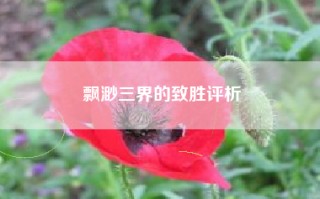 飘渺三界的致胜评析
