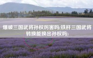 爆破三国武将孙权厉害吗(铁杆三国武将转换能换出孙权吗)