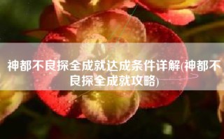 神都不良探全成就达成条件详解(神都不良探全成就攻略)