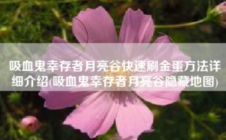 吸血鬼幸存者月亮谷快速刷金蛋方法详细介绍(吸血鬼幸存者月亮谷隐藏地图)