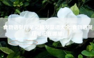 食物语餐厅笔记触发菜谱大全(食物语餐厅笔记在哪里)