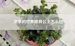 文字的世界拯救公主怎么过