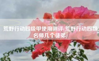 荒野行动四级甲使用测评(荒野行动四级名师几个徒弟)