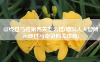 画线过马路第四关怎么过(脑洞人大冒险画线过马路第四关攻略)