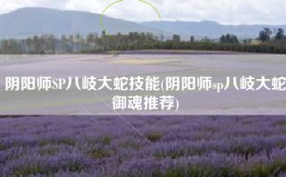 阴阳师SP八岐大蛇技能(阴阳师sp八岐大蛇御魂推荐)