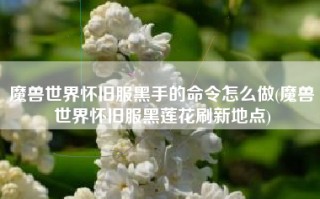 魔兽世界怀旧服黑手的命令怎么做(魔兽世界怀旧服黑莲花刷新地点)