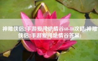 神雕侠侣2手游爱闯绝情谷60-80攻略(神雕侠侣2手游爱闯绝情谷答案)