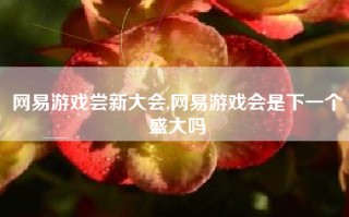 网易游戏尝新大会,网易游戏会是下一个盛大吗