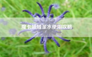 魔卡领域圣水使用攻略
