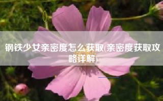 钢铁少女亲密度怎么获取(亲密度获取攻略详解)