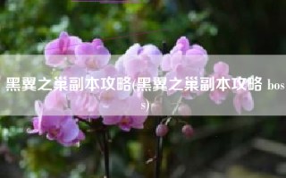 黑翼之巢副本攻略(黑翼之巢副本攻略 boss)