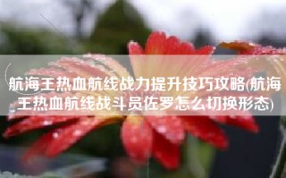航海王热血航线战力提升技巧攻略(航海王热血航线战斗员佐罗怎么切换形态)