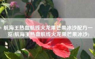航海王热血航线火龙果芒果冰沙配方一览(航海王热血航线火龙果芒果冰沙)