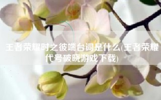 王者荣耀时之彼端台词是什么(王者荣耀代号破晓游戏下载)