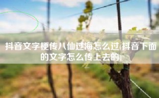 抖音文字梗传八仙过海怎么过(抖音下面的文字怎么传上去的)