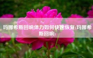 玛娜希斯回响体力如何快速恢复(玛娜希斯回响)