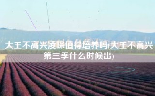 大王不高兴凌琛值得培养吗(大王不高兴第三季什么时候出)