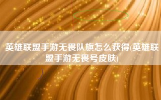 英雄联盟手游无畏队旗怎么获得(英雄联盟手游无畏号皮肤)