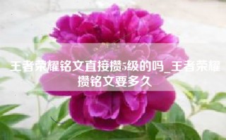 王者荣耀铭文直接攒5级的吗_王者荣耀攒铭文要多久