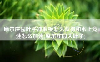 摩尔庄园叶子冲浪板怎么获得和水上竞速怎么加速(摩尔庄园大叶子)