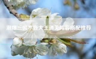 潮爆三国木鹿大王通关阵容搭配推荐