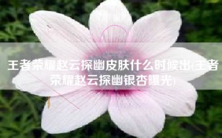 王者荣耀赵云探幽皮肤什么时候出(王者荣耀赵云探幽银杏曝光)