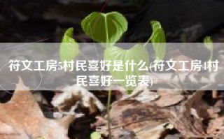 符文工房5村民喜好是什么(符文工房4村民喜好一览表)