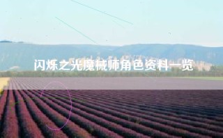 闪烁之光魔械师角色资料一览