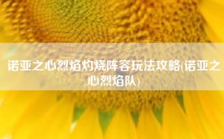 诺亚之心烈焰灼烧阵容玩法攻略(诺亚之心烈焰队)