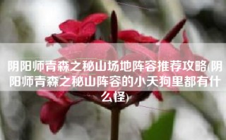 阴阳师青森之秘山场地阵容推荐攻略(阴阳师青森之秘山阵容的小天狗里都有什么怪)