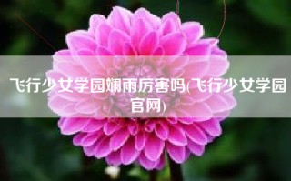 飞行少女学园斓雨厉害吗(飞行少女学园官网)