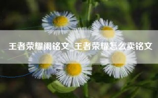 王者荣耀阑铭文_王者荣耀怎么卖铭文