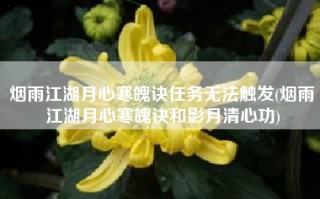 烟雨江湖月心寒魄诀任务无法触发(烟雨江湖月心寒魄诀和影月清心功)