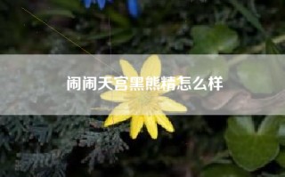 闹闹天宫黑熊精怎么样