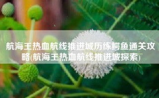 航海王热血航线推进城历练鳄鱼通关攻略(航海王热血航线推进城探索)