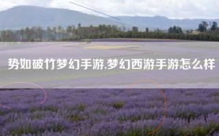 势如破竹梦幻手游,梦幻西游手游怎么样
