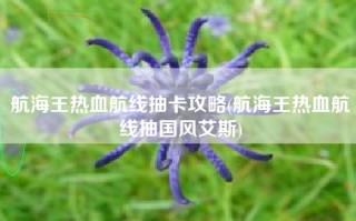 航海王热血航线抽卡攻略(航海王热血航线抽国风艾斯)