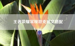 王者荣耀常规坦克铭文搭配