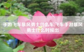 手游飞车暴风勇士什么车,飞车手游暴风勇士什么时候出