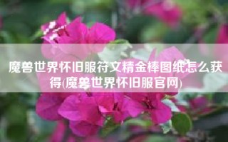 魔兽世界怀旧服符文精金棒图纸怎么获得(魔兽世界怀旧服官网)