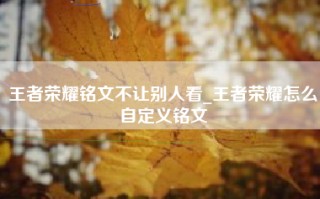 王者荣耀铭文不让别人看_王者荣耀怎么自定义铭文