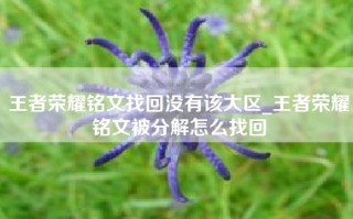 王者荣耀铭文找回没有该大区_王者荣耀铭文被分解怎么找回