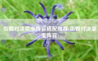 街霸对决嘉米阵容搭配推荐(街霸对决豪鬼阵容)