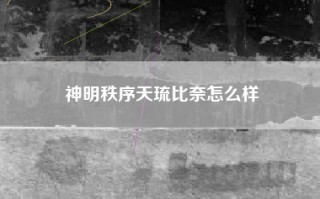 神明秩序天琉比奈怎么样